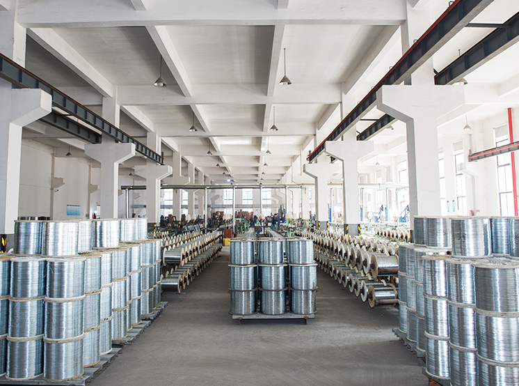 Co Táirgí Crua-earraí Zhejiang Tianying, Ltd.